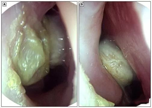 1566468698435877.jpg 微信圖片_20190822180434.jpg
