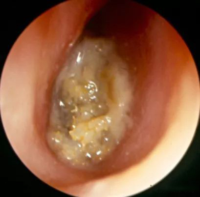 1566468722190104.jpg 微信圖片_20190822180442.jpg