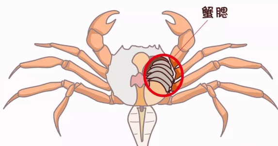 1569750044674163.png 微信截圖_20190929172743.png