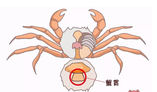 1569750143540376.png 微信截圖_20190929172759.png