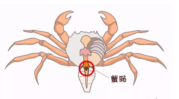 1569750610589615.png 微信截圖_20190929172837.png